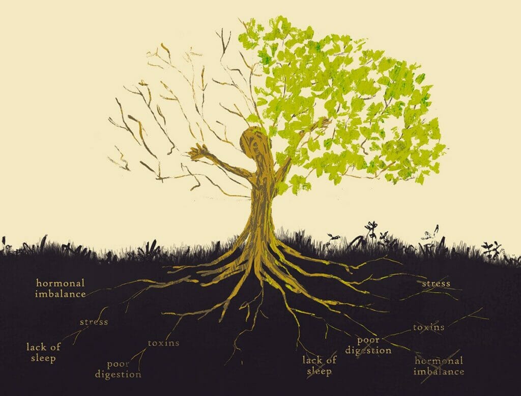 functional medicine tree illustration