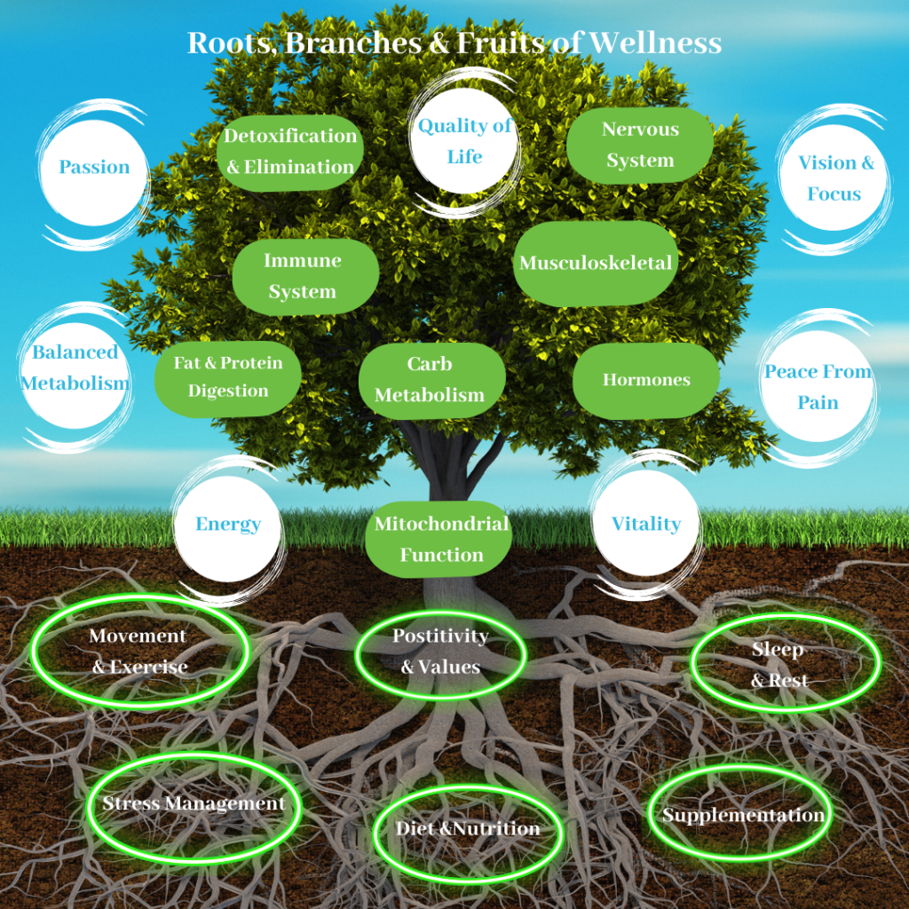 Roots Branches Fruits of Wellness1