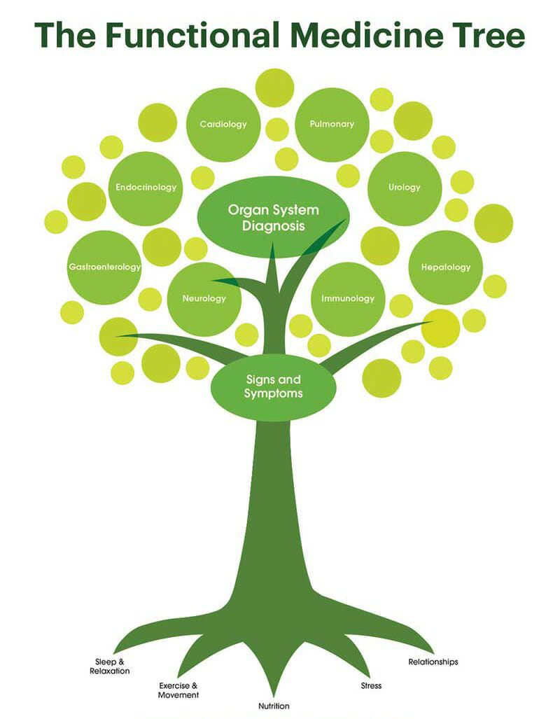 functional medicine tree diagram