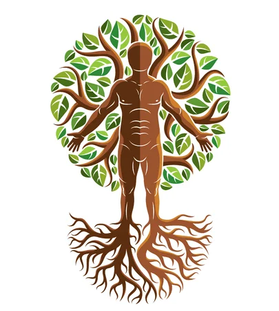 Functional medicine illustration