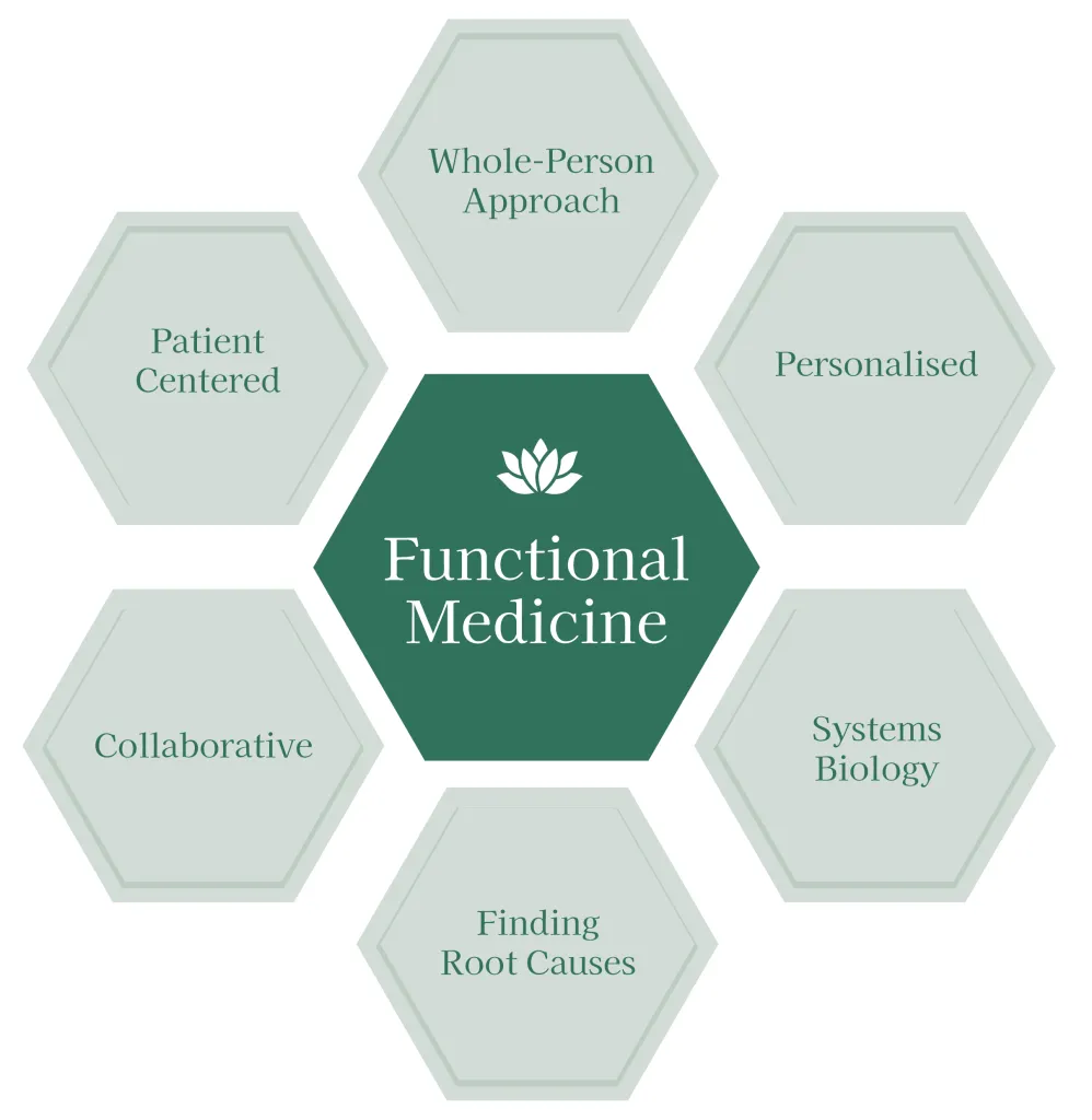 Functional Medicine illustration