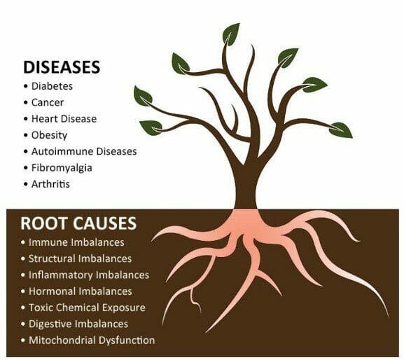 functional medicine tree illustration