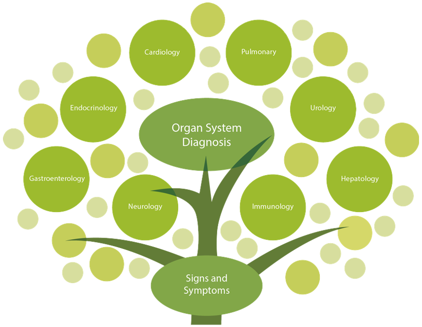 Functional medicine illustration