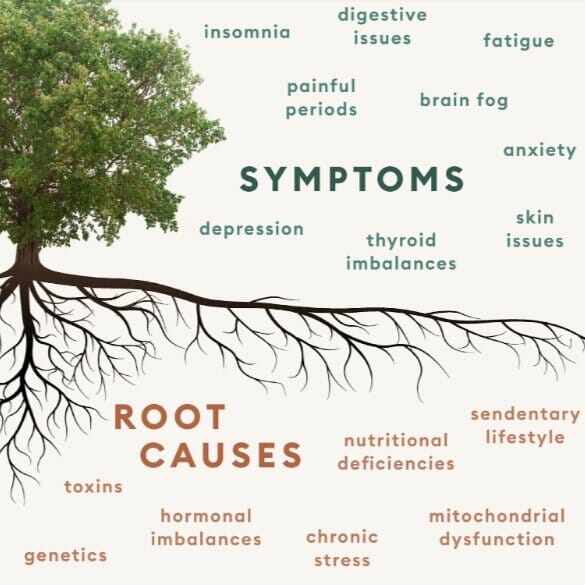 functional medicine tree illustration