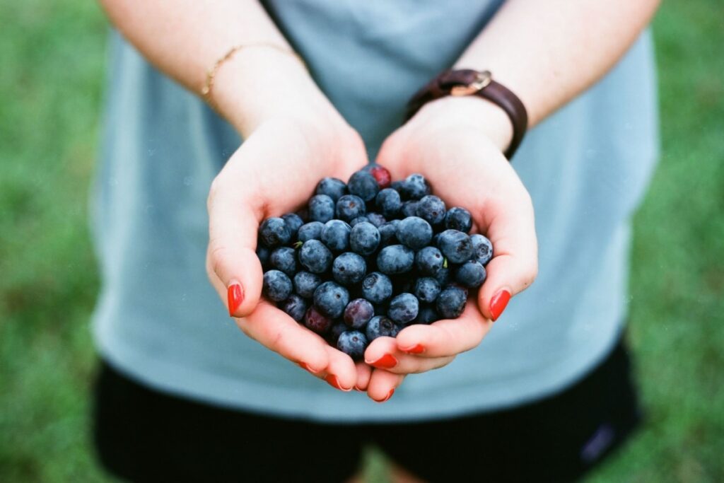 How Blueberries and Fertility Are Connected: A Nutritional Guide to Boosting Your Reproductive Health