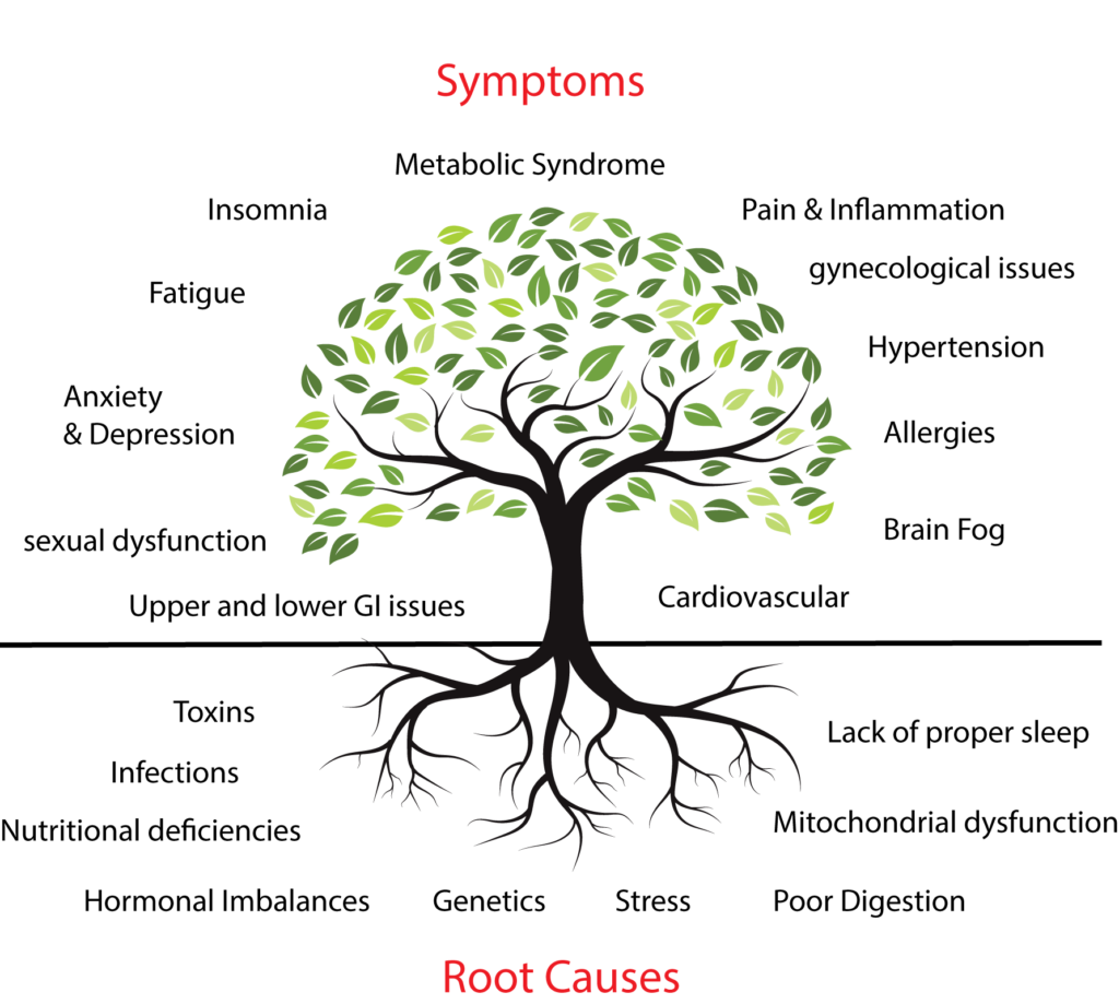 functional medicine tree illustration