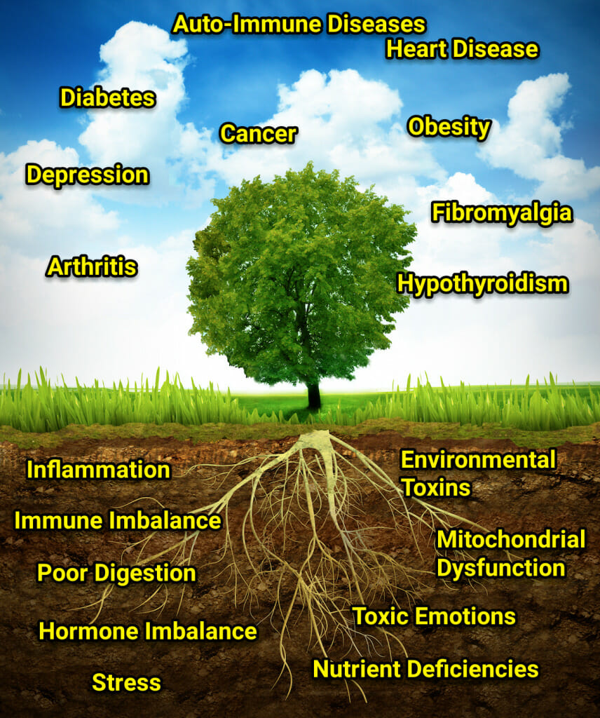 functional medicine tree illustration