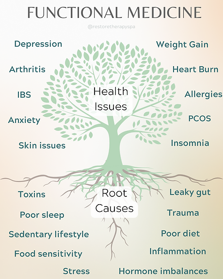 functional medicine tree illustration