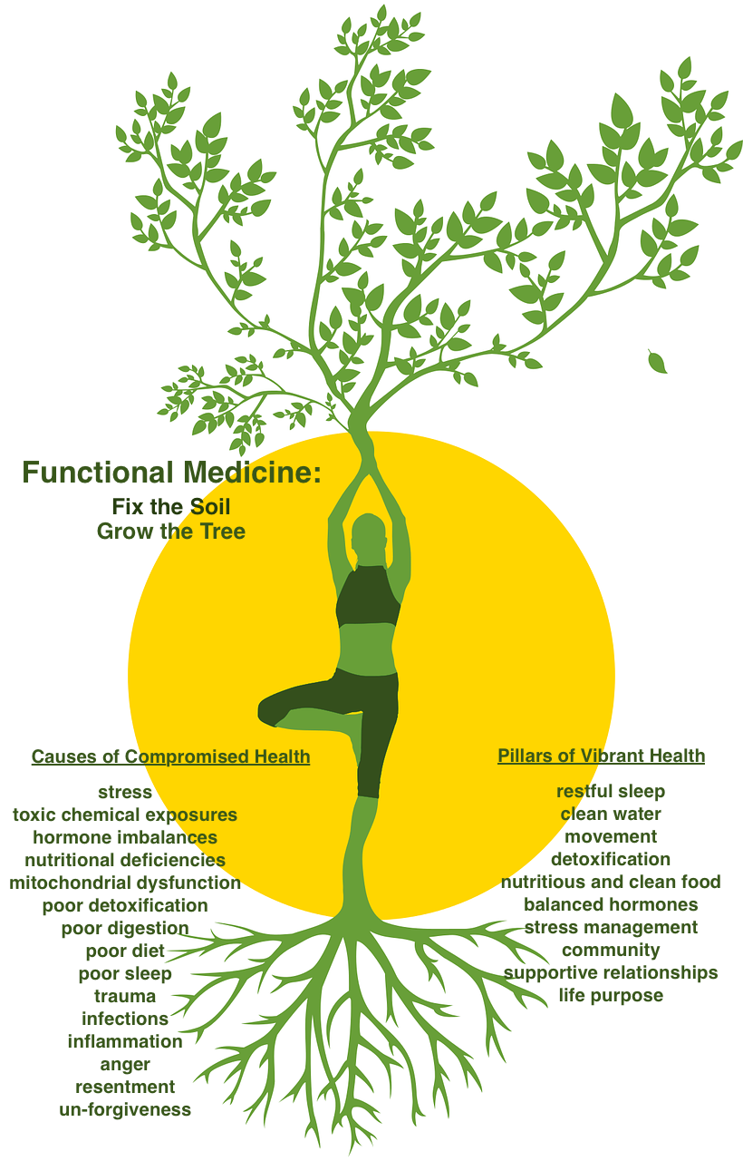 functional medicine tree illustration