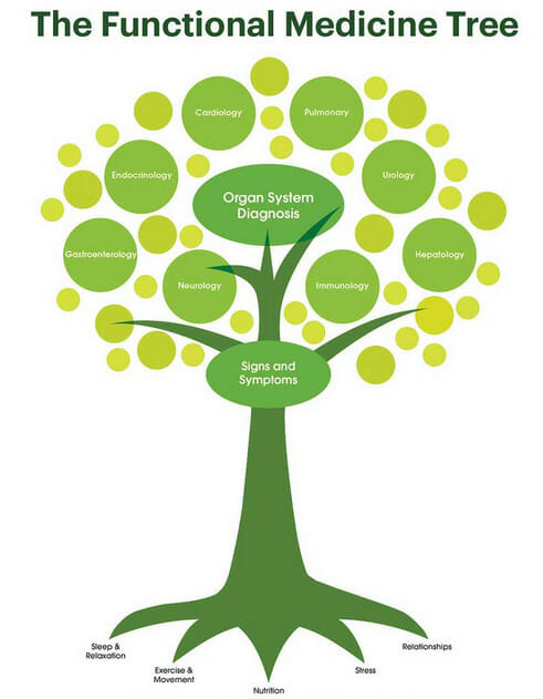 functional medicine tree illustration