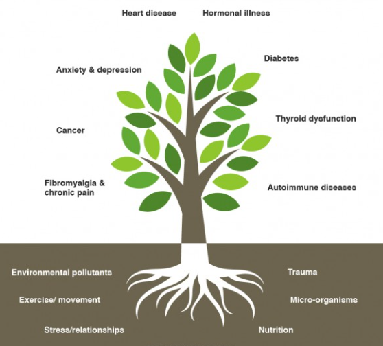 functional medicine tree illustration